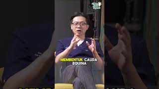 CAUDA EQUINA SYNDROME⚠️  Pelajari lebih lanjut dengan menonton full videonya sekarang [upl. by Reklaw857]