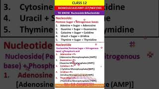 nucleotides structurebiomolecules biomoleculespyq [upl. by Odlanier]