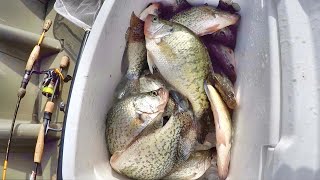 EASY Way To LOAD Your Freezer With Crappie Fall Crappie Fishing [upl. by Gnas]