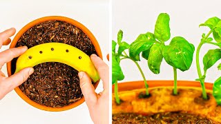 Aus Samen Pflanzen machen 🌱 17 Tricks die auch OHNE GARTEN klappen [upl. by Noreht]