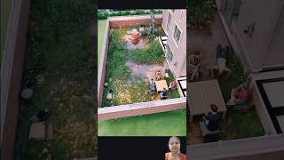 Garden makeover shortsdaywithme [upl. by Cohligan]