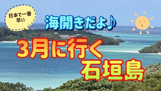 日本で一番早い海開きだよ♪3月に行く石垣島 [upl. by Allin288]