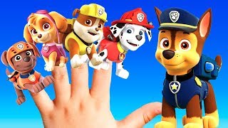 PAW PATROL Kids Song BEST Nursery Rhymes For Children  Keiki Kids Songs [upl. by Ysset]