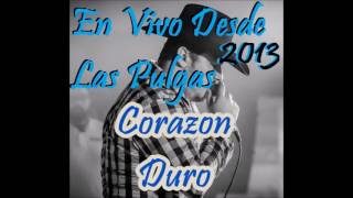 Corazon Duro  Arley Perez En Vivo Desde Las Pulgas 2013 [upl. by Vinita]