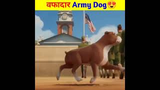 वफादार Army Dog 😍🐕  Intersting fact  amazing Fact  shortsIndianarmymoyeMRINDIANHACKER [upl. by Ytte]