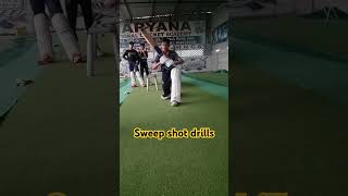 Sweep shot drills। How to play sweep shot। Best Residential Cricket Academy in India। shorts short [upl. by Ainig]