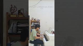 Chopin Op 48 No 1  Part 1 relaxing music cover support [upl. by Bettina]