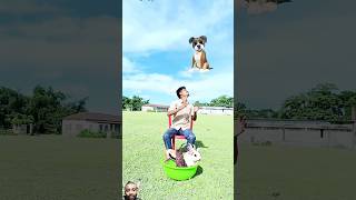 Fly dog and any animal catch funny game vfx shorts [upl. by Stouffer]