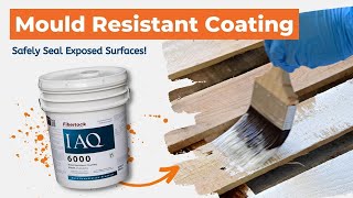 Stop Mould Growth for Good with this AntiFungal Coating [upl. by Nnaylrebmik]