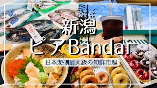 【新潟グルメ】港の食市場 ピア万代で日本海の幸を堪能！行列のできる30種類のドーナツ鮮魚センターの高コスパ海鮮お惣菜【浜焼き・朝市も】 [upl. by Nicola]