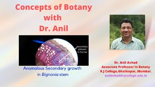 Anomalous secondary growth in Bignonia stem [upl. by Jacklyn]