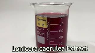 Lonicera caerulea extract [upl. by Ber]