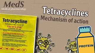 Proteins synthesis inhibitors  Tetracyclines  mechanism of action  MedS [upl. by Boylston]