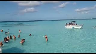 Saona Island Natural Pool  Dominican Republic [upl. by Airetal229]