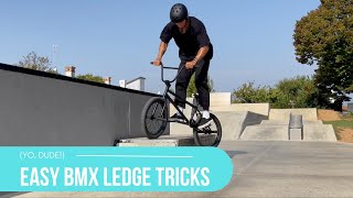 20 Easy BMX Ledge Tricks [upl. by Redla651]