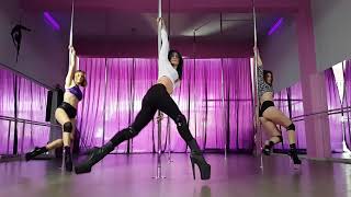 Exotic Pole Class by Post Malone  rockstar [upl. by Barny996]