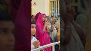 Candle Procession  Kakkombu  SMYM Palai  St Alphonsa Shrine Church Bharananganam [upl. by Stacee]