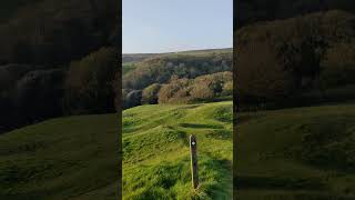 View near Oddens Wood Abbotsbury Dorset [upl. by Mailliw442]