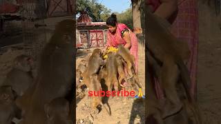 Ram ji humanity respect ytshorts love song [upl. by Fernald501]