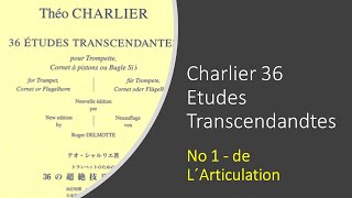 Théo Charliers 36 Études Transcendantes  No01 de L´Articulation  David Baldwin [upl. by Fu948]