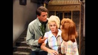 Petticoat Junction  A Cottage For Two  Part 1  S5 E6 [upl. by Fasano]