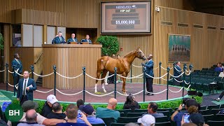 Curlin Power Delivers 5 Million Colt at Keeneland September Yearling [upl. by Anilrats]