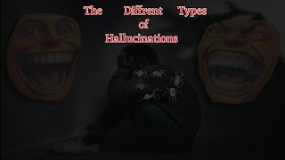 What Is Each Hallucination Type Like [upl. by Burch]