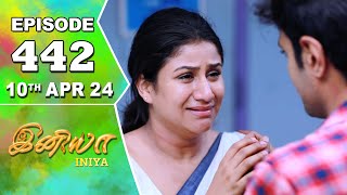 Iniya Serial  Episode 442  10th Apr 2024  Alya Manasa  Rishi  Saregama TV Shows Tamil [upl. by Lennod]