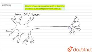 Mention if the statement istrue T or false F Dendrons bundled together form a nerve  9  T [upl. by Nahoj]