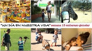 Vlog diario  SEMANA 13 EMBARAZO GEMELAR  La postquedada de Safari y vuelta a Pamplona [upl. by Arutek43]