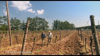 Orvieto Italy FamilyRun Winery  Rick Steves’ Europe Travel Guide  Travel Bite [upl. by Esimaj]