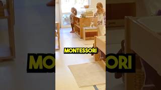 Differences between Reggio Emilia and Montessori school earlychildhoodeducation preschoolteaching [upl. by Lilac]