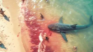 This Shark Attack Will Make You Think Twice About Swimming [upl. by Megan]