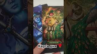 таро гаданиеонлайн tarot прогноз гадание таролог картадня fortune [upl. by Vannie967]