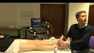 Tutorial  ultrasound guided ankle block  Dr Nat Haslam [upl. by Punak]