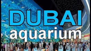 The Dubai Mall Aquarium in Max HD 18 minutes [upl. by Gillie436]