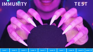 Asmr Testing Your Tingle Immunity Levels  Intense Trigger Warning  Asmr No Talking for Sleep [upl. by Pinkerton]