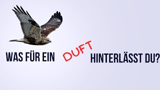 Was für ein Duft hinterlässt du schweizerdeutsch [upl. by Annej]