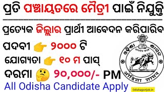 Panchayat Level Job Apply 2024  Panchayat Level Recruitment Apply  Swarojgar Maitri Job 2024 [upl. by Rome]