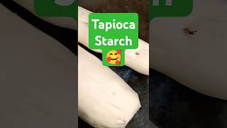 Tapioca Starch food shortsfeed 🛖👍കപ്പ ഉലത്തിയത് [upl. by Atterol]