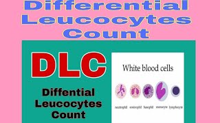 The differential leucocyte count DLC Urdu and Hindi [upl. by Shien]