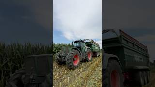 Favorit 926😍 fendt claas corn silage mais [upl. by Syramad]