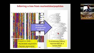 MIT CompBio Lecture 19  Phylogenetics [upl. by Kroo]