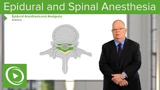 Neuraxial Blocks Epidural and Spinal Anesthesia amp Analgesia – Anesthesia  Lecturio [upl. by Nomi795]