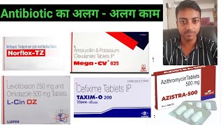 Antibiotic azithromycin cefixime levofloxacin ornidazole amoxycillin amp potassium use in hindi [upl. by Daphene]