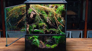 Making a Crested Gecko Vivarium 🌿 [upl. by Haakon965]