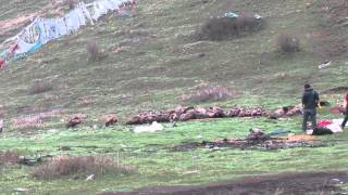 sky burial ceremony in tibet [upl. by Annalla]