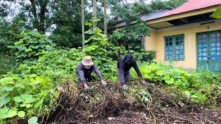 Dramatic transformation of overgrown front lawn  Satisfying abandoned house cleaning [upl. by Claudius]