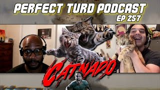 CATNADO 2024 Movie Review [upl. by Erek]