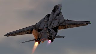 DCS  F14 Tomcat Air Show [upl. by Aneda]